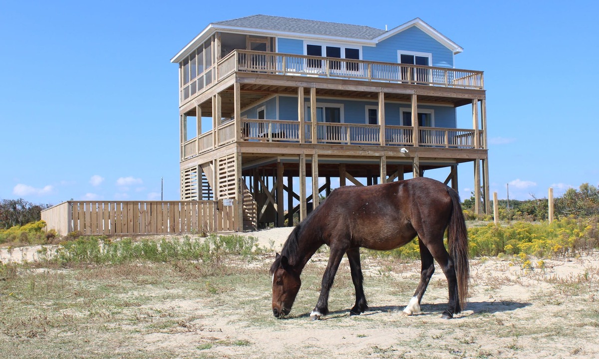 Carova Beach House | Semi-Oceanfront, Pool & Hot Tub, Wild Horses, Pets Welcome, 4x4 Beach