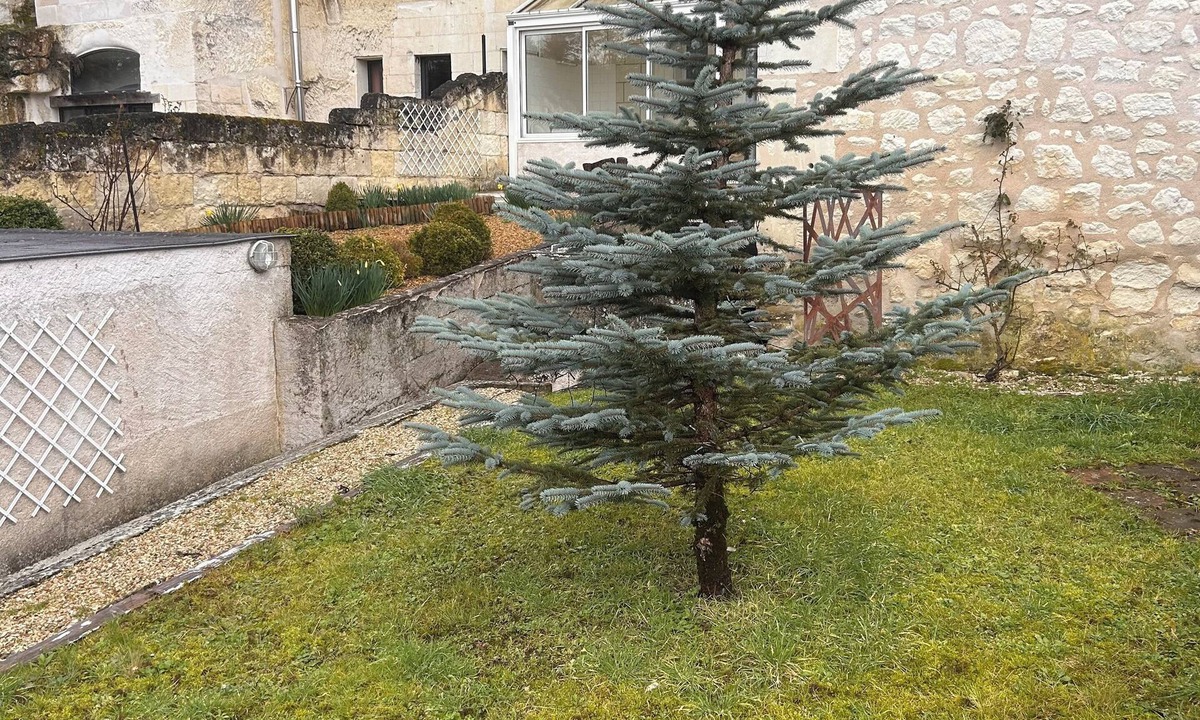 Loches House | Semi-troglodyte and atypical house