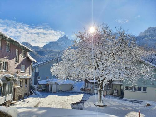 Filzbach Hotel | Seminarhotel Lihn