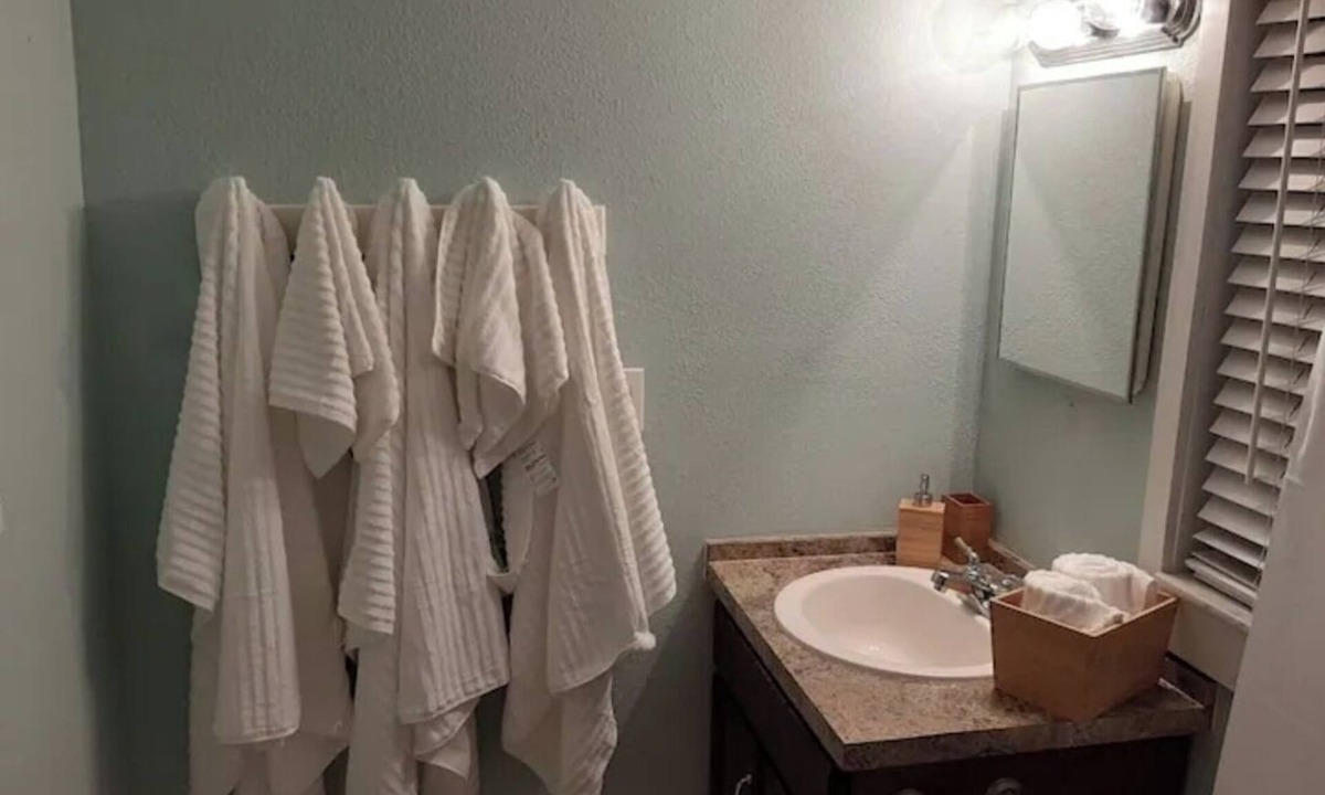 Tampa Ski Chalet | Seminole Heights suite