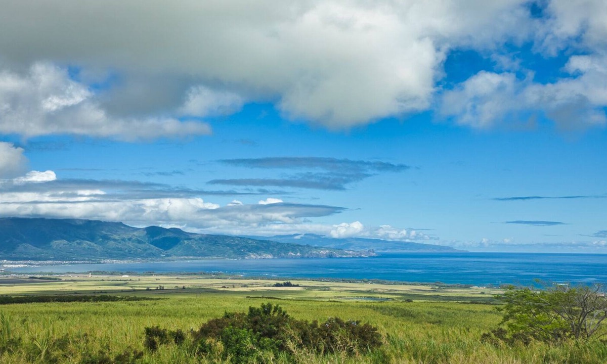 Haliimaile Apartment | Sensational View - Central Location - Clean and Cozy