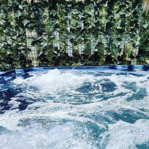 York Other | Serendipity