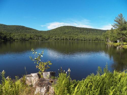 Windham House | Serendipity Lake House