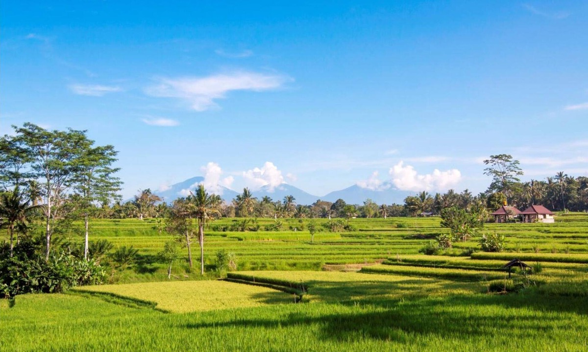 Kelusa Cabin | Serene accommodation in Ubud Riverside, Feel the Ambience