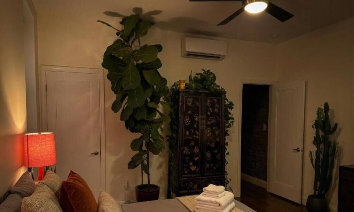 East Harlem Apartment | Serene Central Harlem Apartment