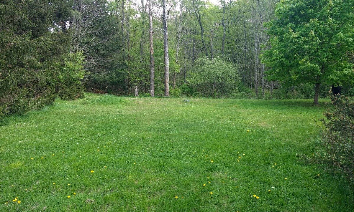 Mildred House | Serene Creek Frontage