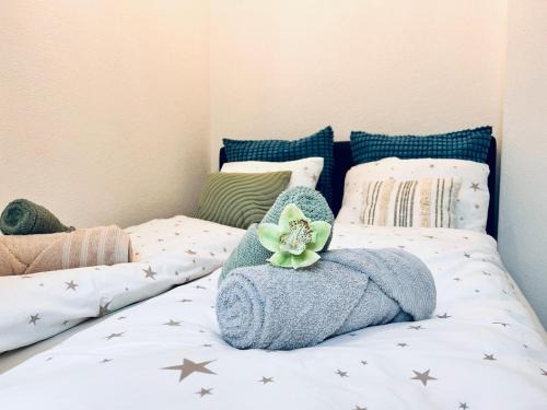 Olten Apartment | Serene Stay