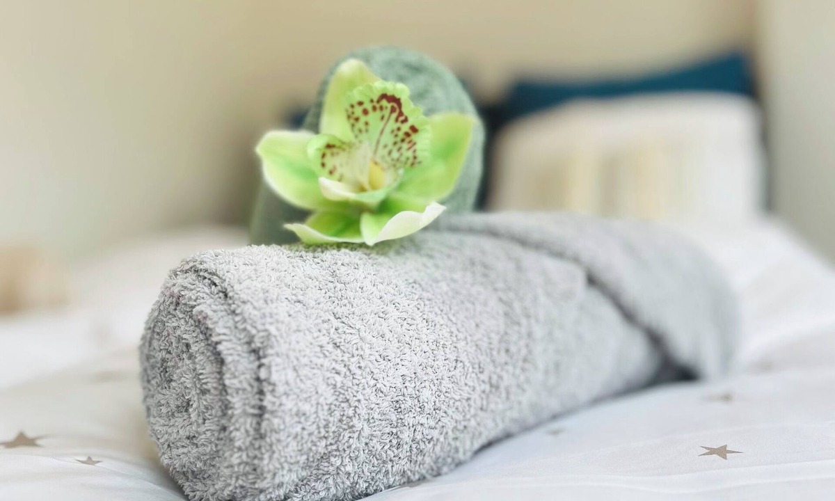 Olten Apartment | Serene stay