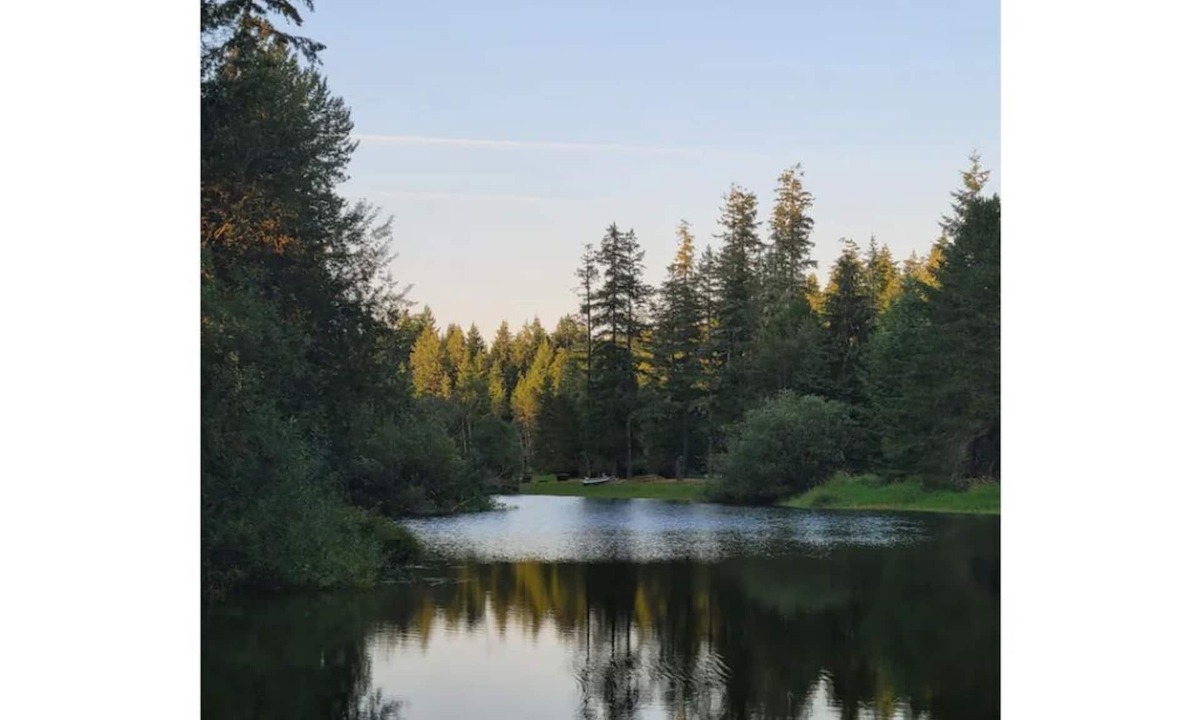 Grapeview Cottage | Serene waterfront cottage