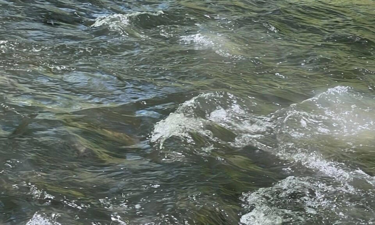 Morganton Cabin | Serenity at Hemptown Creek NEW LISTING