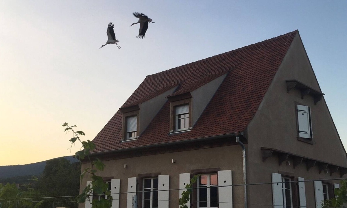 Mittelbergheim House | Serenity on the Wine Route