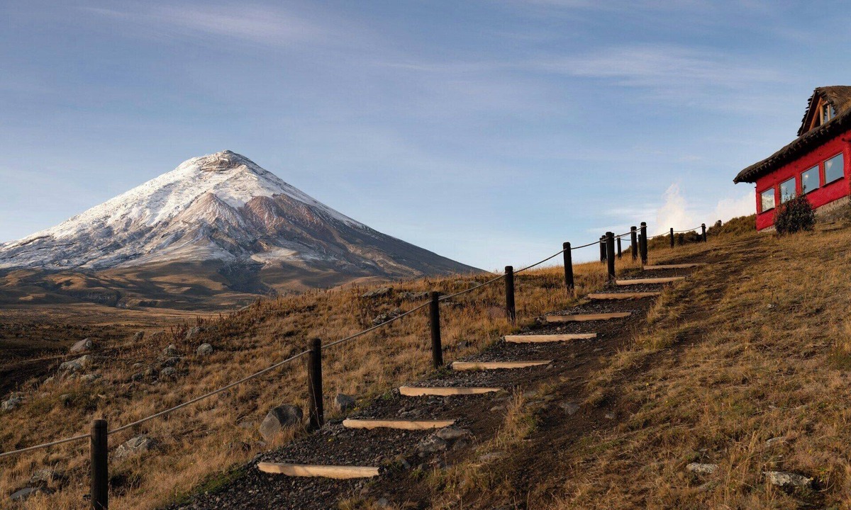 Chinatown House | Settle into the Suites at our Downtown San Francisco