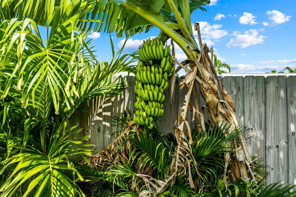 Boynton Beach House | Shady Grove Villa