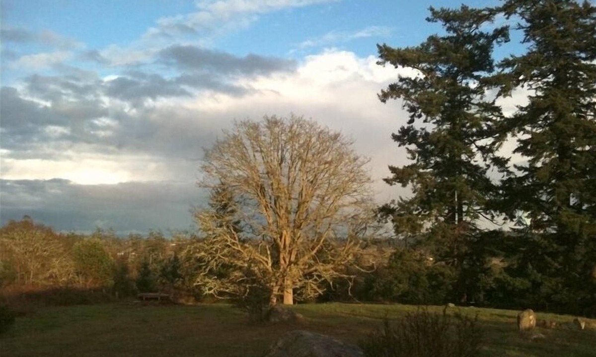 Friday Harbor Apartment | Shared hot tub with meadow view