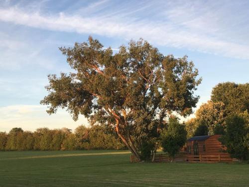 Forsbrook House | Shepherds Haven