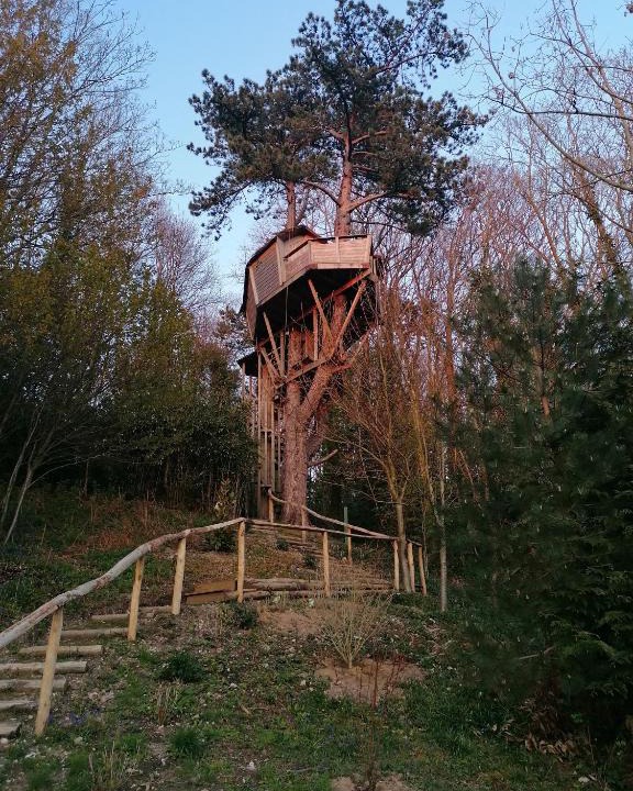 Etretat Bed & Breakfast | SHERWOOD TREE