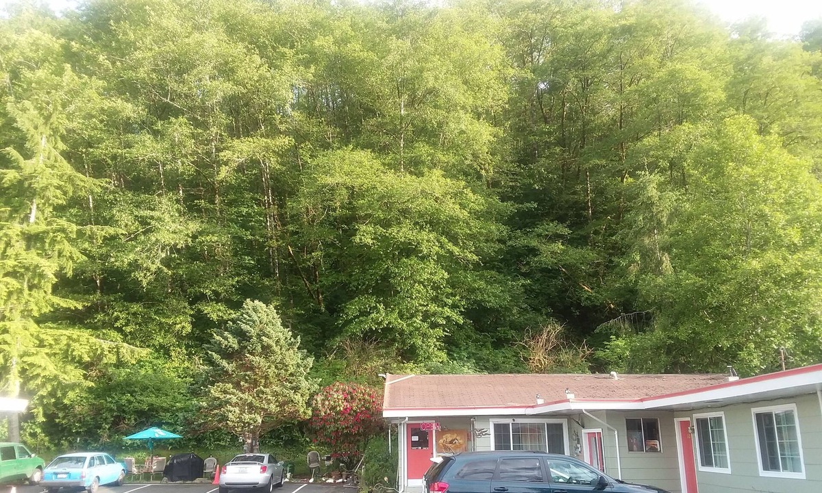 Aberdeen Hotel | Shiny Motel