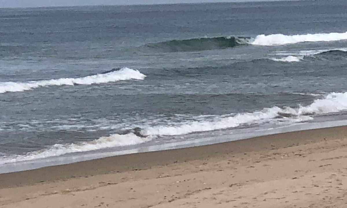 Yarram Hotel | Ship Motel Yarram