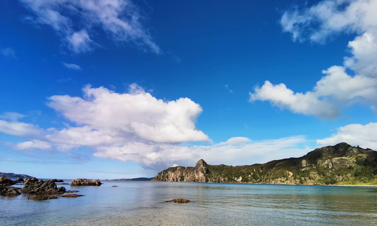 Taupo Bay House | Shore Beats Work Taupo Bay