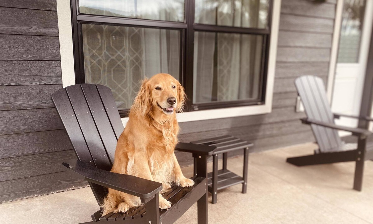 Riverside House | Shoreline | Waterfront | Sauna Dogs 20% Off Ski