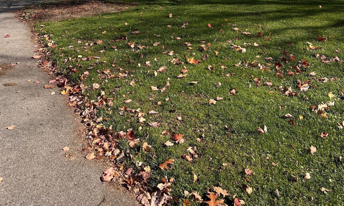 Rye House | Short walk to the beach. Sunny and bright.
