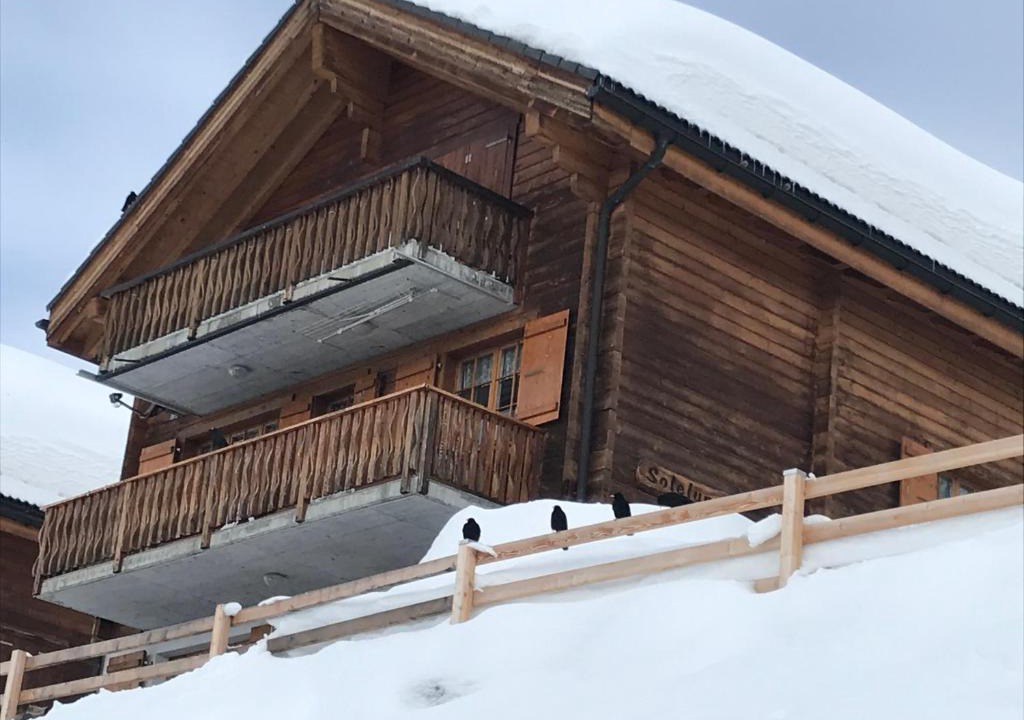 Blatten bei Naters Apartment | Silberdistel