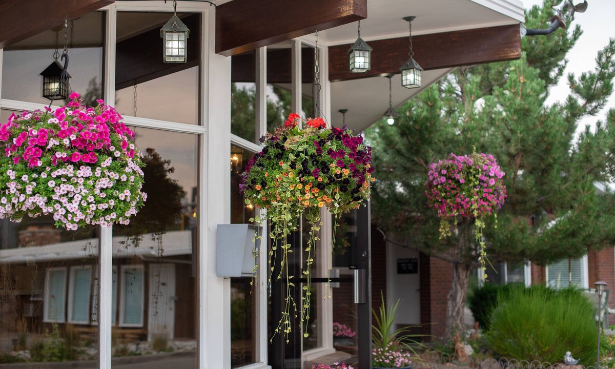 Salida Hotel | Silver Ridge Lodge