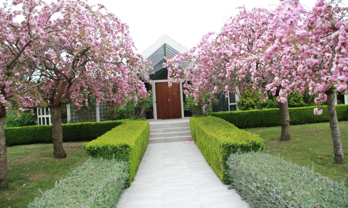 Kaiapoi Other | Silverstream Alpaca Farmstay and Tour