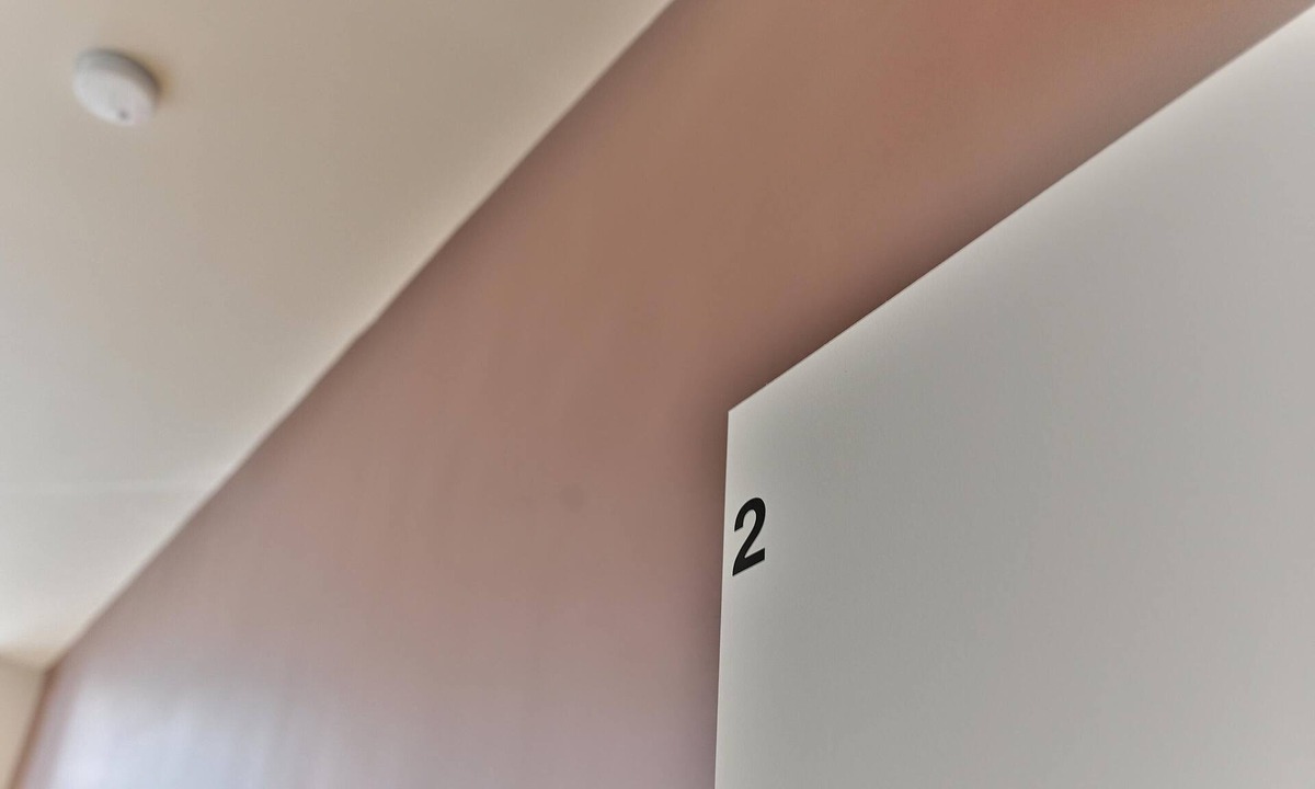 Le Pre-Saint-Gervais Apartment | Simonnot 2