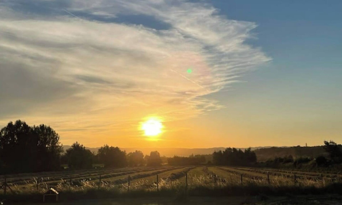 Montmeyran House | Single-storey family house