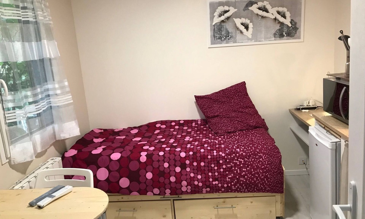 Saint-Cyr-en-Val Apartment | Single studio