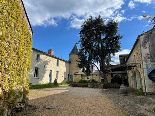Le Puy-Notre-Dame Bed & Breakfast | Sirona - domaine viticole et chambres d'hôtes