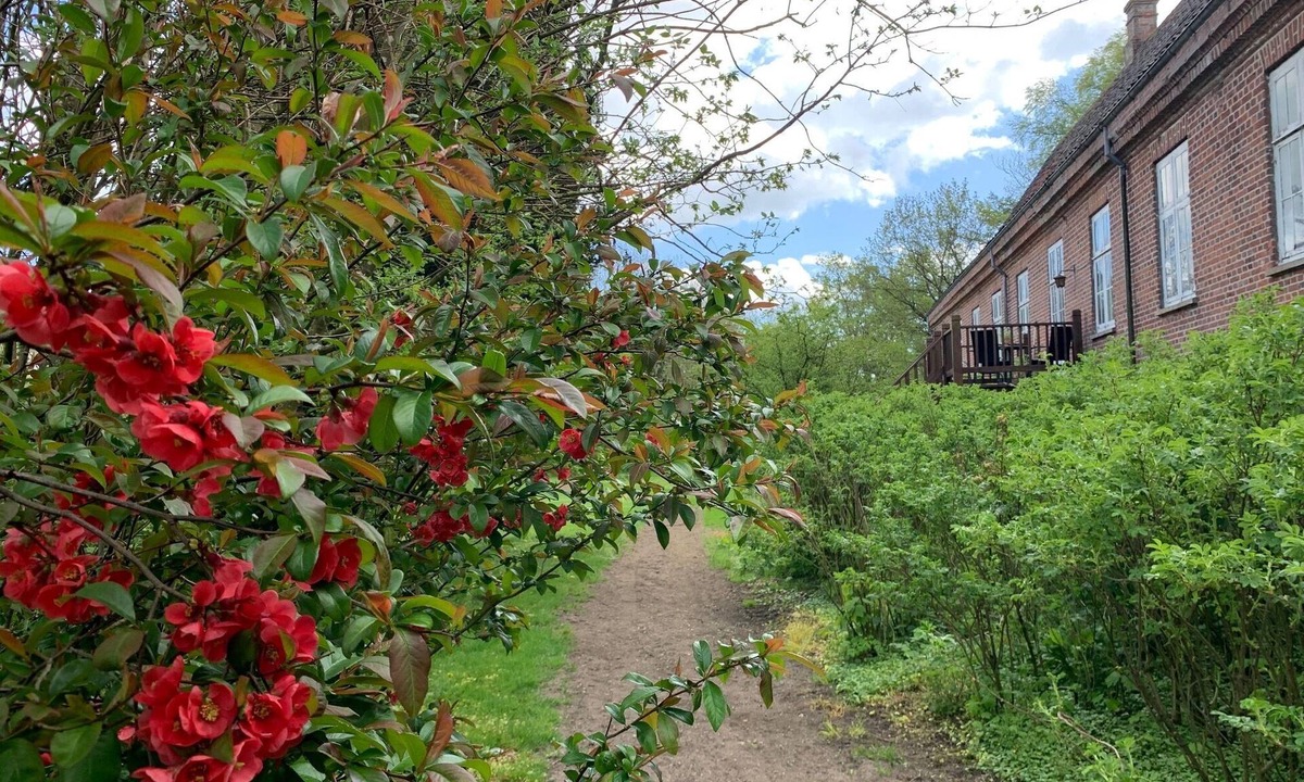 Barrit House | Skerrildgaard Gæstehus