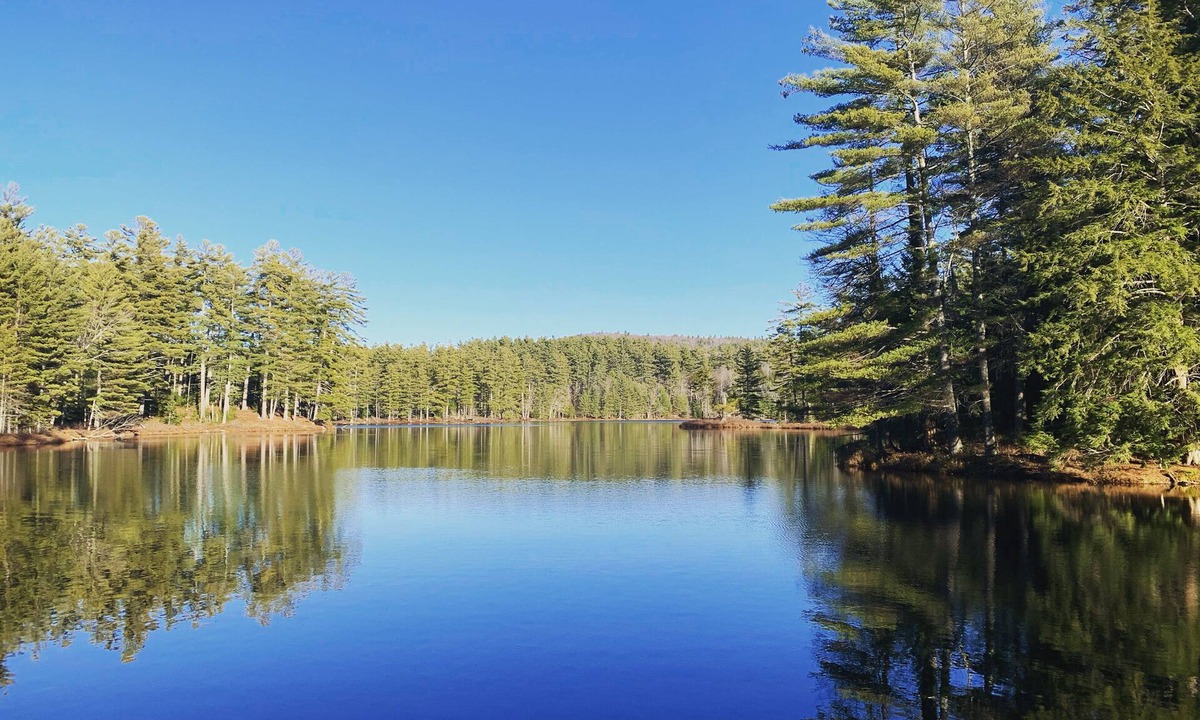 Londonderry House | Ski & Lake Home-Minutes Lowell Lake, Magic, Stratton, Bromley & Okemo