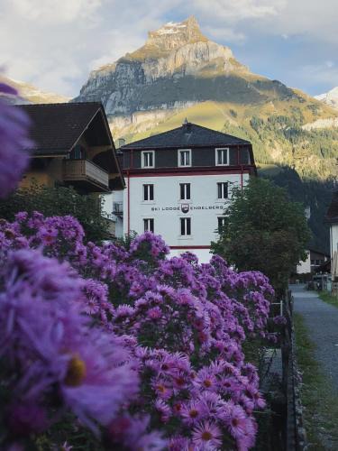 Engelberg Hotel | Ski Lodge Engelberg
