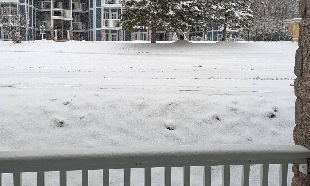 Oro-Medonte House | Ski Season Townhouse in Horseshoe Valley