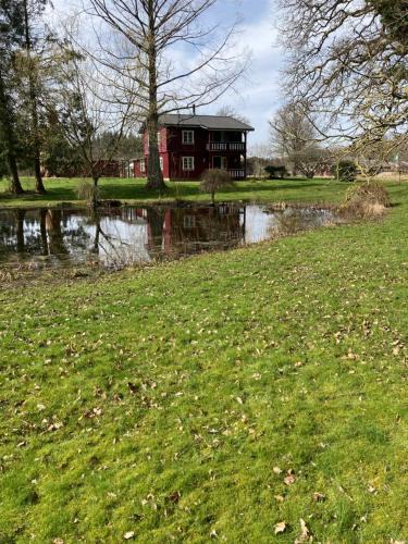 Ringsted Bed & Breakfast | Skovhuset haveværelset