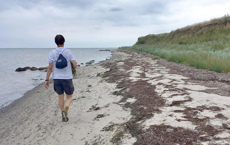 Lohals Bed & Breakfast | Skovly Bed & Breakfast