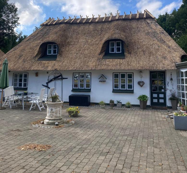 Juelsminde Bed & Breakfast | Skovlyset’s B&B