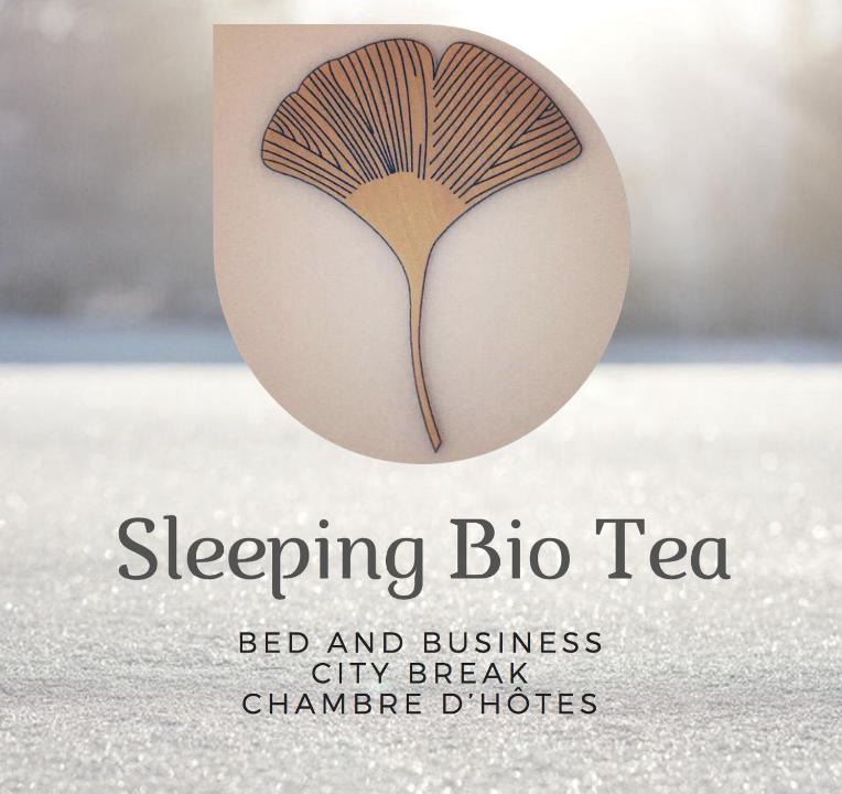 Veymerange Bed & Breakfast | Sleeping Bio Tea