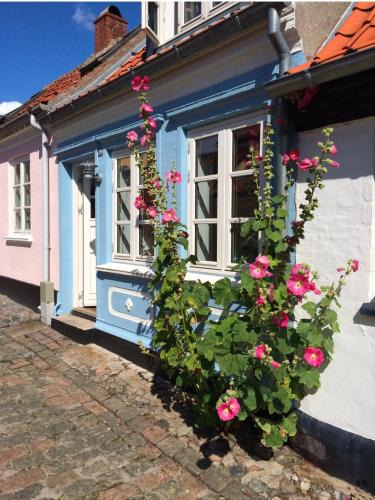 Marstal House | Smølfehuset i Marstal