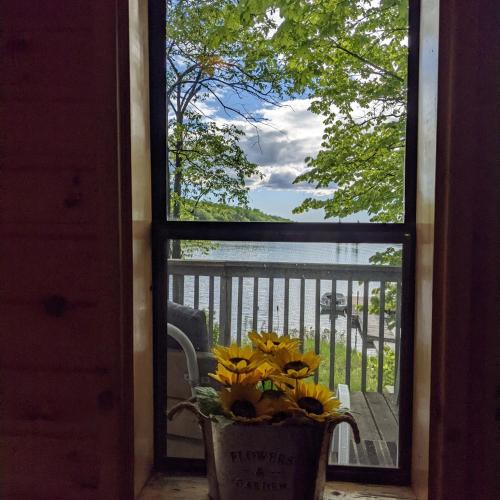 Broadbent Cabin | Small Beachside Cabin