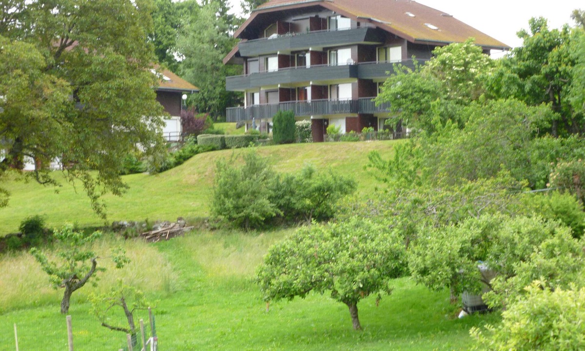 Thollon-les-Memises Apartment | Small cocoon between Lake and Mountains