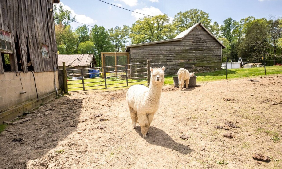 Bel Air House | Small House on Gentleman’s Farm