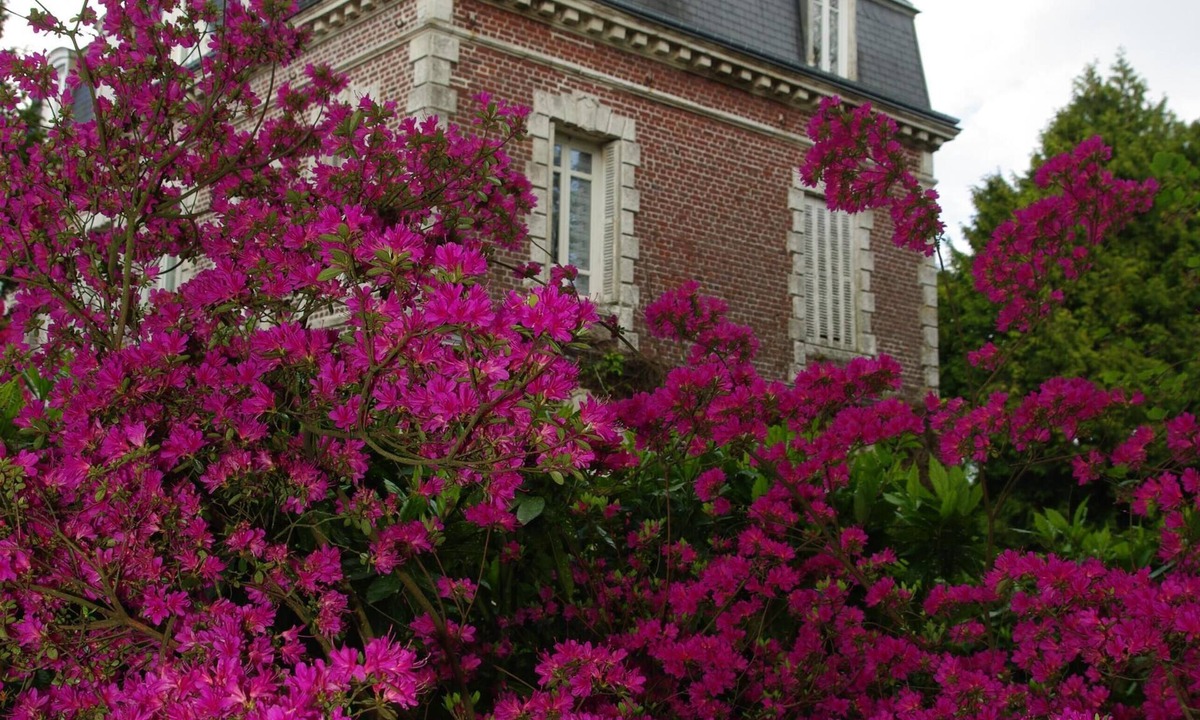 La Cerlangue Apartment | Small independent cottage in Norman property from the 19th