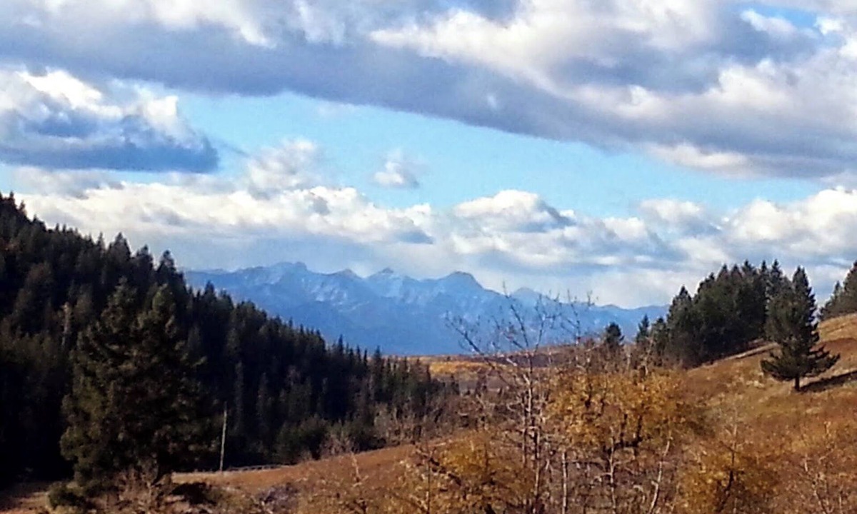 Cochrane House | Small Vintage Guest Ranch Accommodation