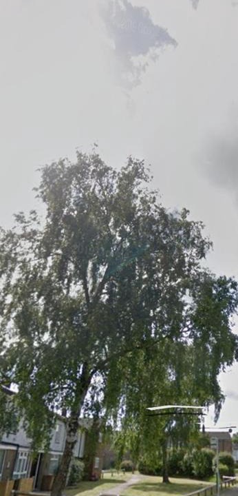 Tadworth Apartment | Smarty Angell