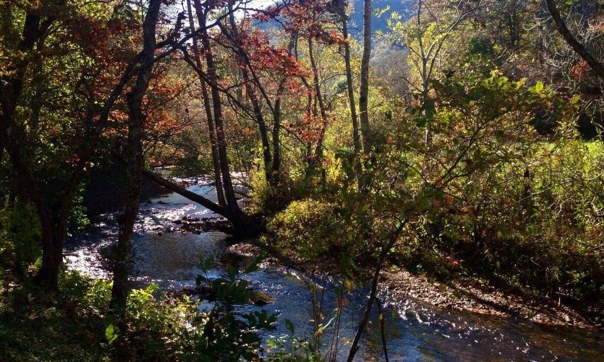Otto Cottage | Smoky Mountain Creek Front Privacy