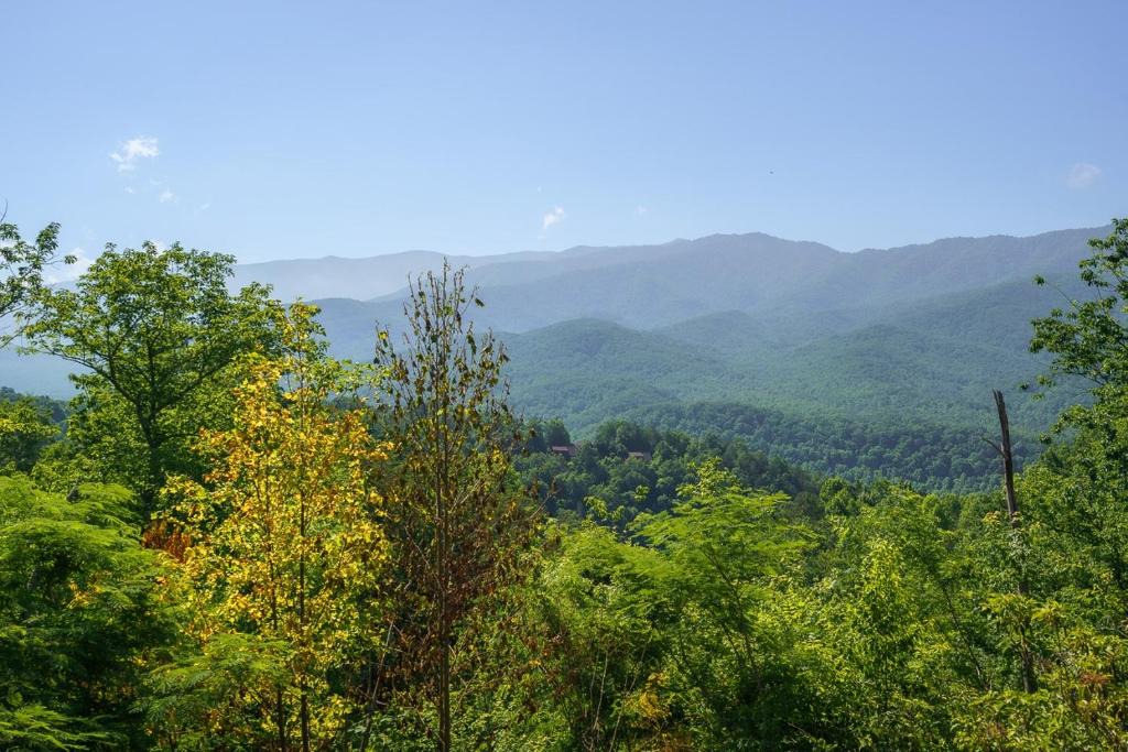 Gatlinburg House | Smoky Mountain Dream Cabin