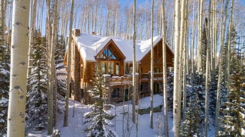 Mountain Village House | Snowdrift Cabin by AvantStay